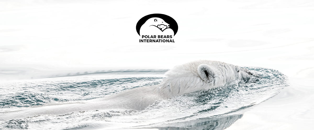 2021-07-26_BERING_Category_Banner_1200x500px__v1_CharitylkwFS1RxMm8q8