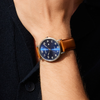 Titanium | brushed silver | 18640-567