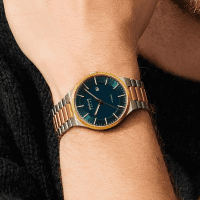 Titanium | oro pulido/cepillado | 14439-718