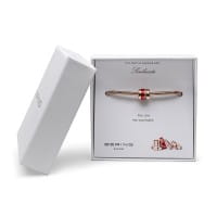 rosé gold glänzend | Charm Box 2