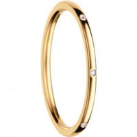 Arctic Symphony | polished gold | Arborea