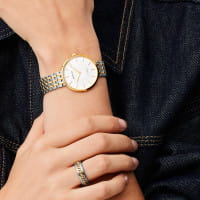 Titanium | polished gold | 19334-010