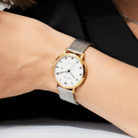 Titanium | polished/brushed gold | 18634-010