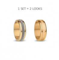 Arctic Symphony | StarterSet-2