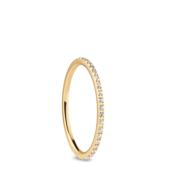 Arctic Symphony | gold glänzend | Zuccarello