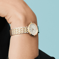 Titanium | polished gold | 19334-010