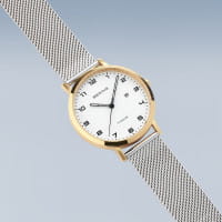 Titanium | oro brilliante/spazzolato | 18634-010