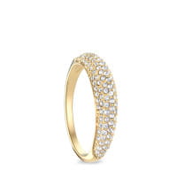 Arctic Symphony | oro brilliante | 536-27-X5