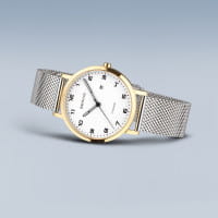 Titanium | polished/brushed gold | 18634-010