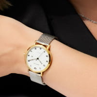 Titanium | polished/brushed gold | 18634-010