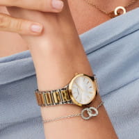 Titanium | silber/gold glänzend | 15630-701