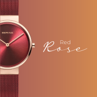 Adventskalender Rosegold-Red