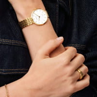 Titanium | gold glänzend | 19334-334