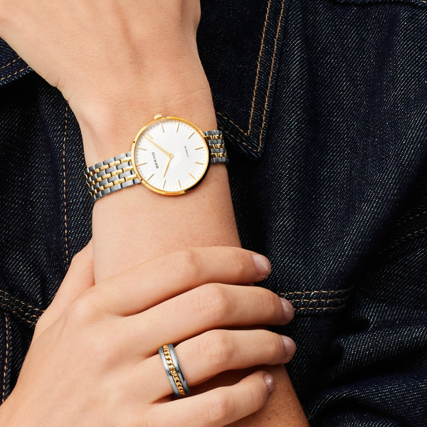 Titanium | polished gold | 19334-010