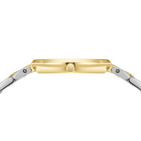 Classic | polished gold | 17529-710