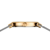 Classic | polished/brushed gold | 14531-010