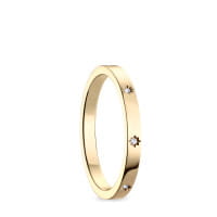Arctic Symphony | polished gold | 590-27-X1