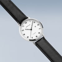 Titanium | argento brilliante/spazzolato | 18634-404