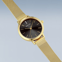 Classic | oro brilliante | 13434-332